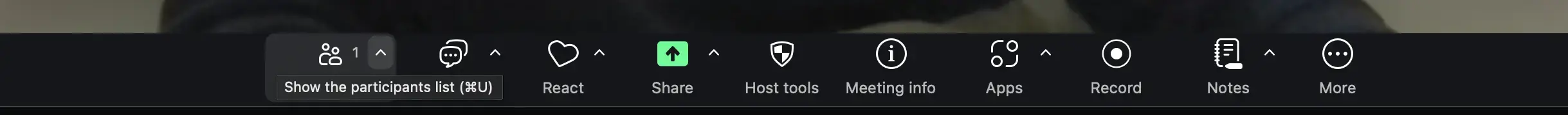 Share screen in Zoom